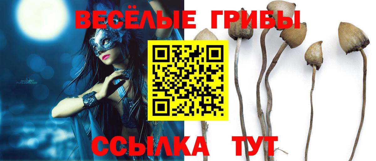 Галлюциногенные грибы мухоморы  Вход с VPN  Галлюциногенные грибы Cubensis  Нововоронеж 